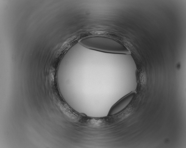 X0000115580570200911100956