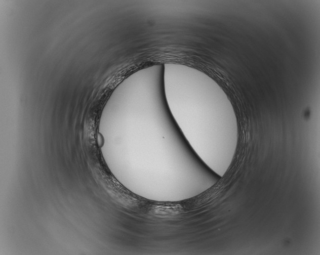 X0000115580571200911100956