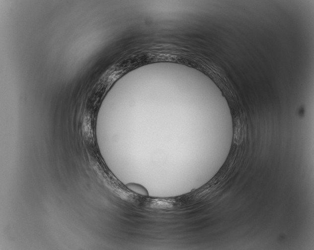X0000115580573200911100956