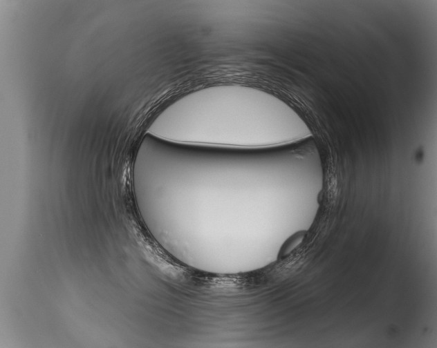 X0000115580574200911100957