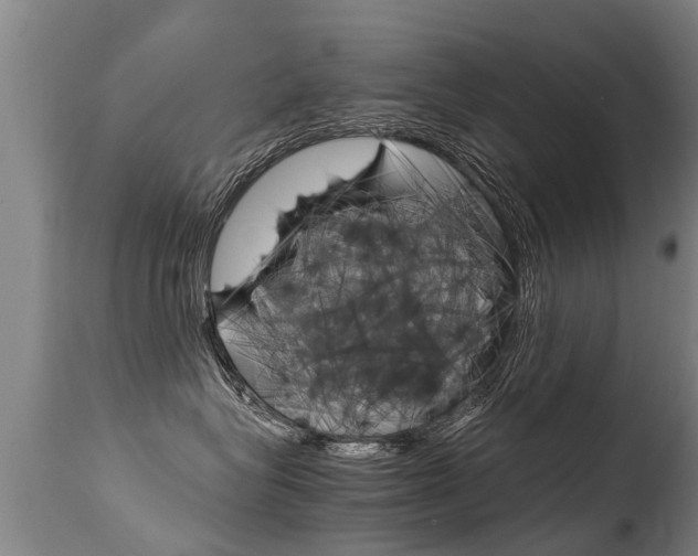 X0000115580575200911100957