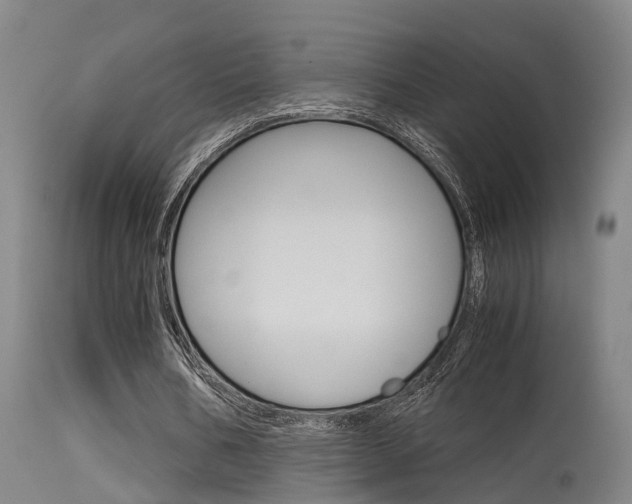 X0000115580578200911100956