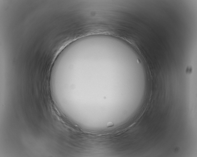 X0000115580579200911100956
