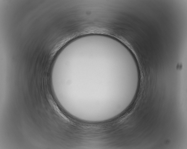 X0000115580581200911100956