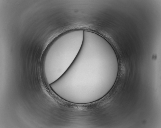 X0000115580582200911100956