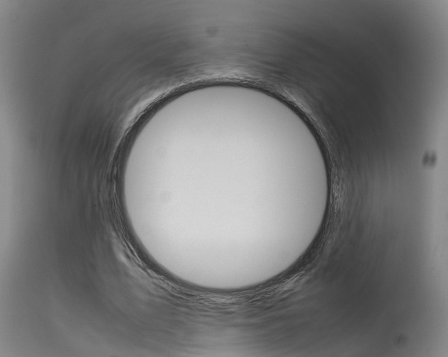 X0000115580583200911100956