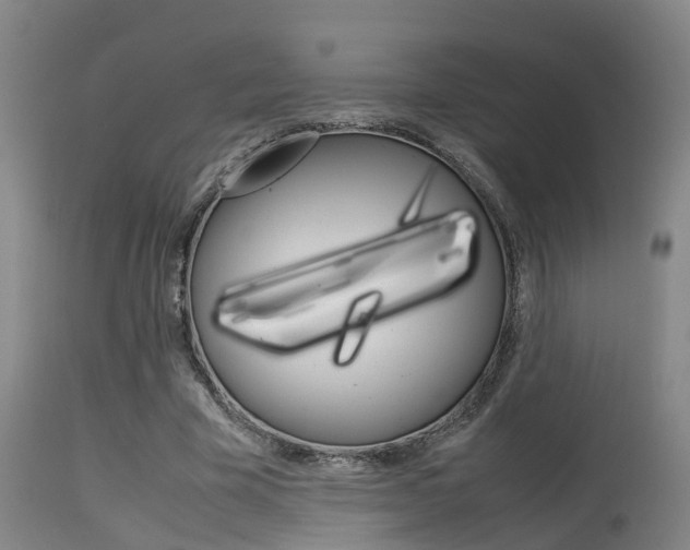 X0000115580585200911100956