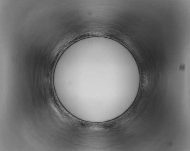 X0000115580586200911100956
