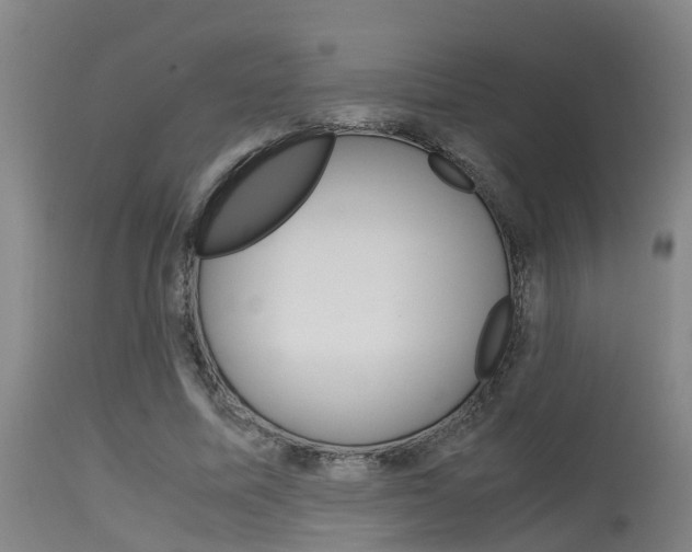 X0000115580587200911100956