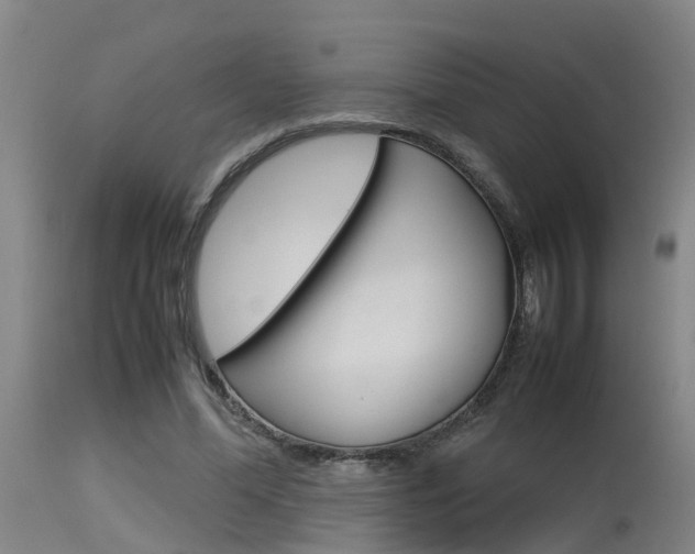 X0000115580588200911100956