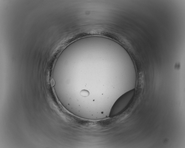 X0000115580589200911100956