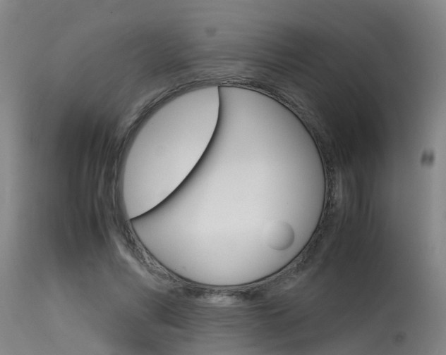 X0000115580590200911100956