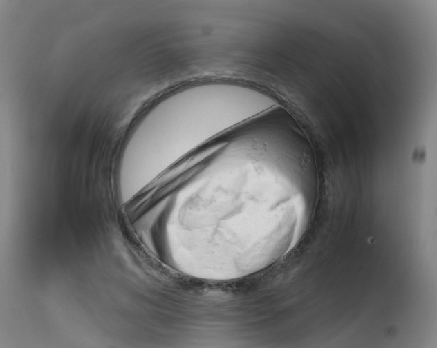 X0000115580592200911100956