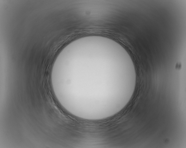 X0000115580593200911100956