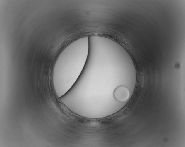 X0000115580594200911100956