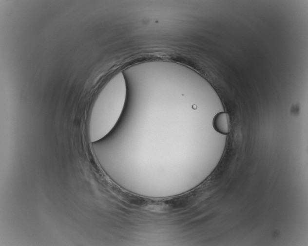X0000115580595200911100956