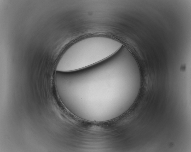 X0000115580596200911100956