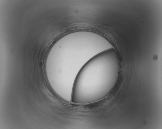 X0000115580597200911100956