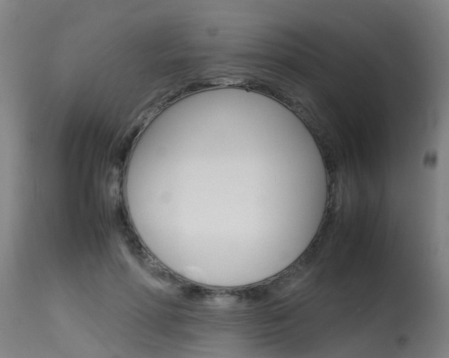 X0000115580598200911100956