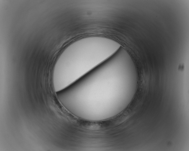X0000115580600200911100956