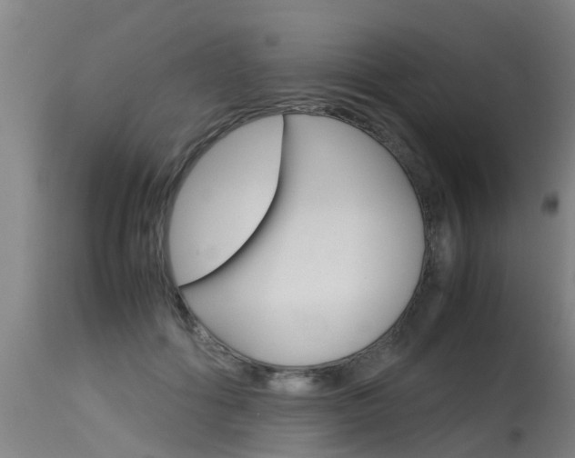 X0000115580602200911100956
