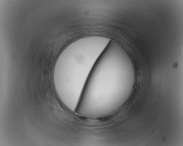 X0000115580605200911100955
