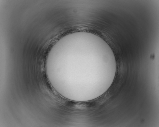 X0000115580606200911100955
