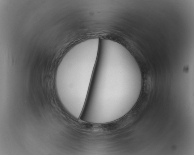X0000115580608200911100955