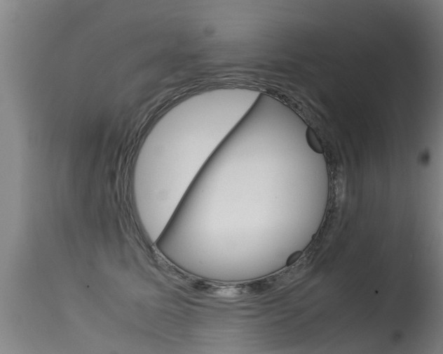 X0000115580611200911100955