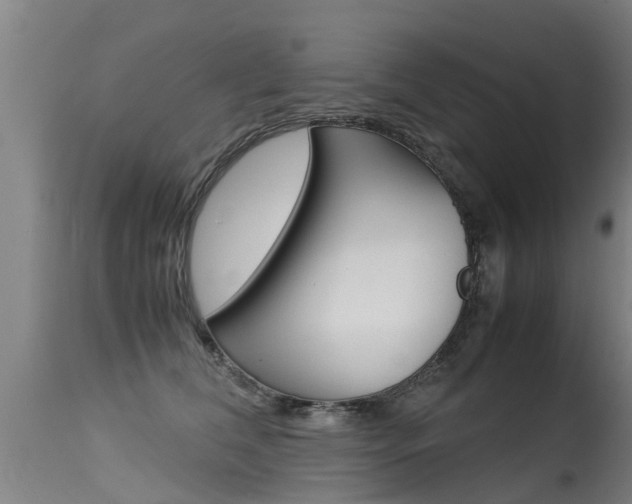 X0000115580612200911100955