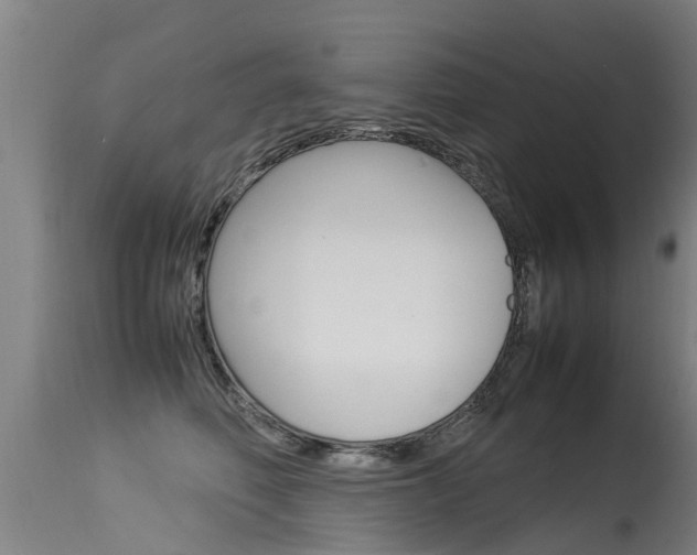 X0000115580614200911100955