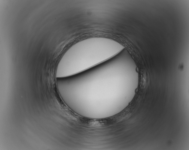X0000115580616200911100955