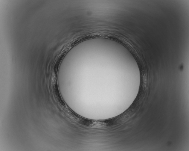 X0000115580617200911100955