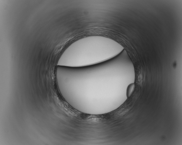 X0000115580620200911100955