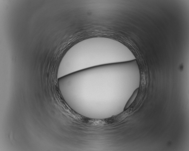 X0000115580621200911100955