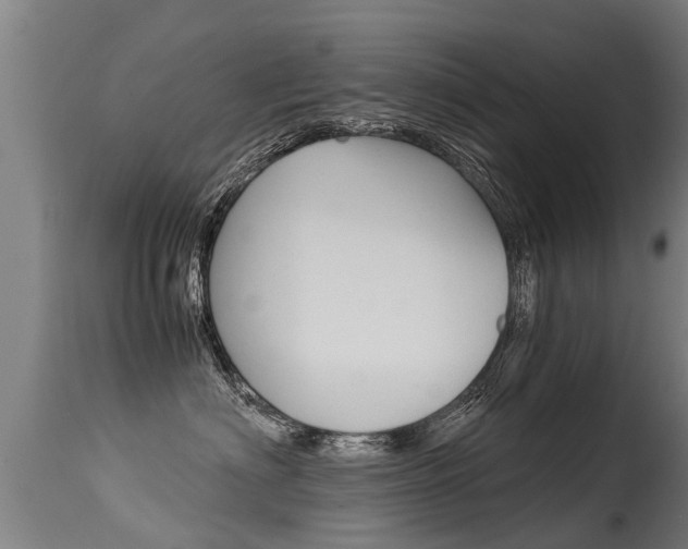 X0000115580622200911100955