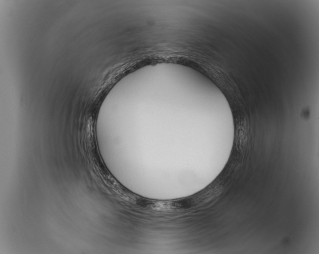 X0000115580623200911100955