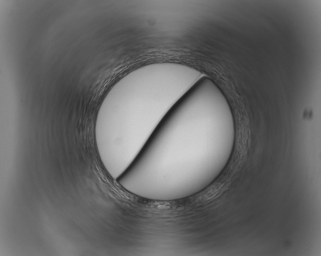X0000115580624200911100955