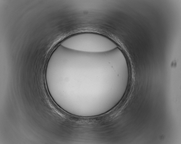 X0000115580625200911100955