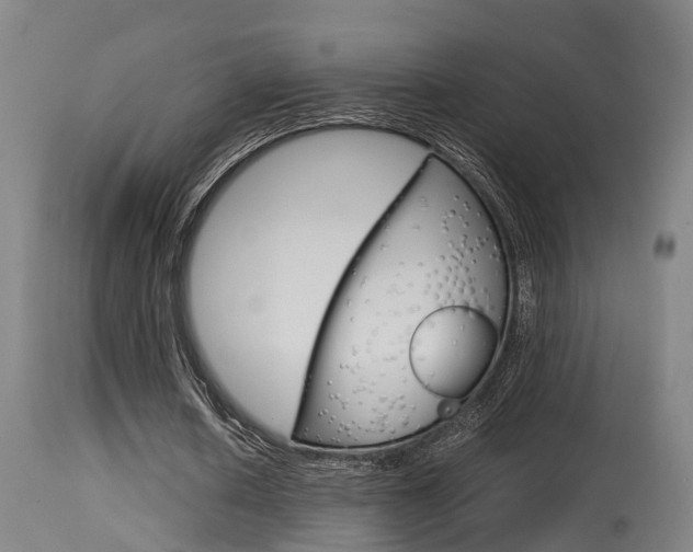 X0000115580626200911100955