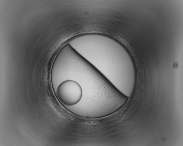 X0000115580627200911100955
