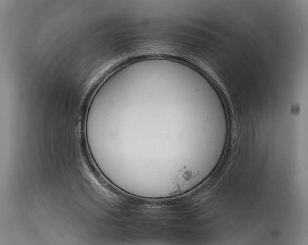 X0000115580629200911100955