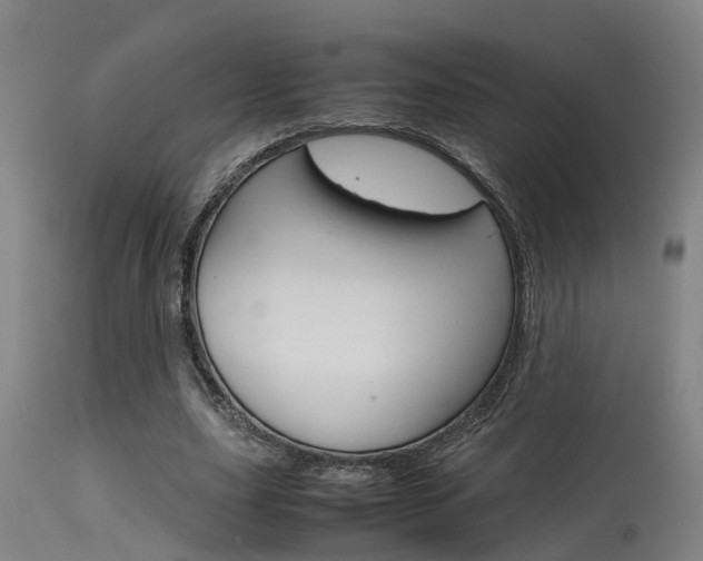 X0000115580631200911100955
