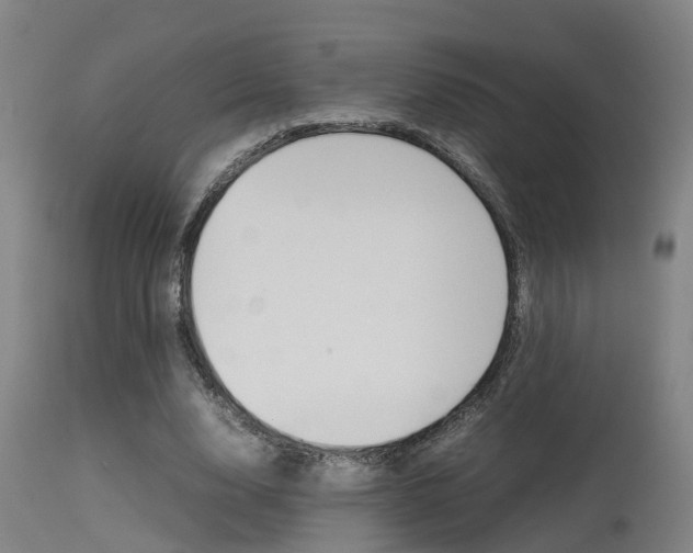 X0000115580632200911100955