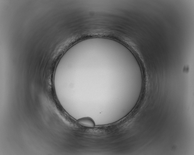 X0000115580633200911100955