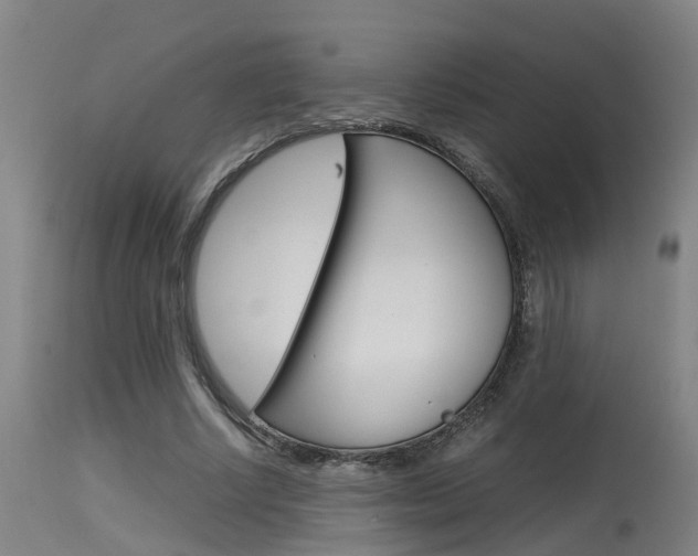X0000115580634200911100955