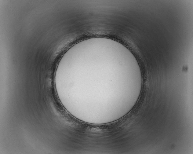 X0000115580635200911100955