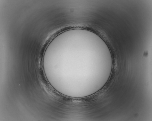 X0000115580636200911100955