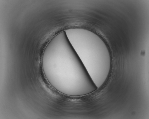 X0000115580637200911100955