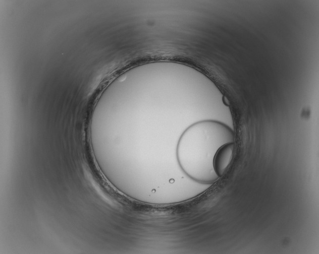 X0000115580638200911100955